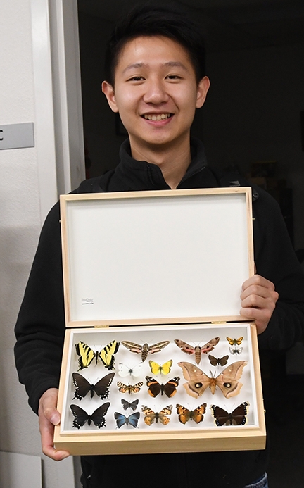 Christopher Jason, who received his bachelor's degree in environmental science from UC Davis last year holds his butterfly collection. (Photo by Kathy Keatley Garvey)