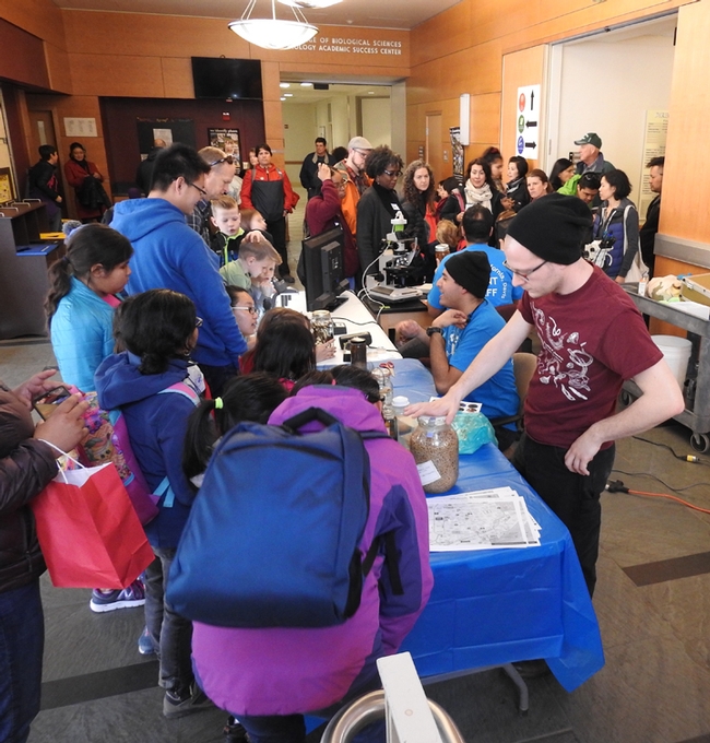 UC Davis doctoral student and nematologist Corwin Parker answers questions from the public at the UC Davis Biodiversity Museum Day. (Photo by Kathy Keatley Garvey)