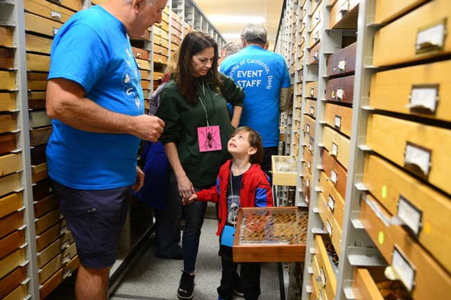 Entomologist Jeff Smith, curator of the Lepitopdera section at the Bohart Museum, talks to Michelle Belden and son, Cash, 5. In back is Bohart associate Greg Kareofelas, naturalist and photographer who helps conduct the butterfly/moth specimen tours. (Photo by Kathy Keatley Garvey)