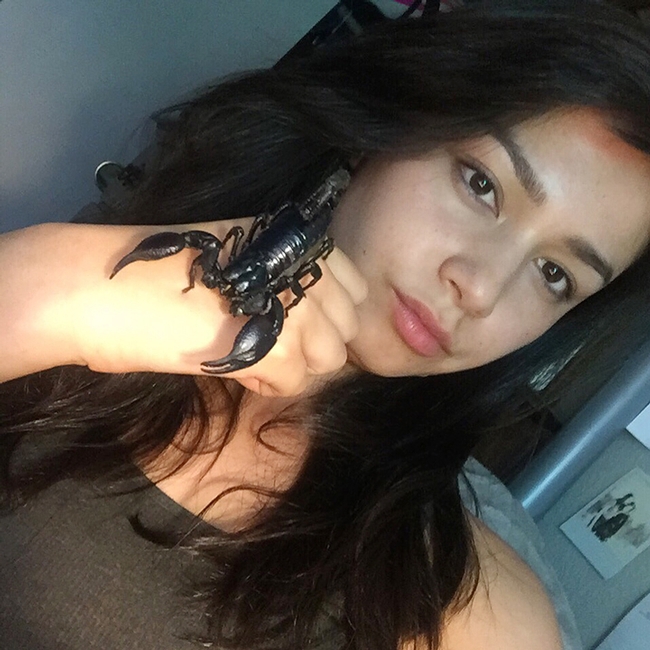 UC Davis student Ivana Trinh Satre, who hopes to become a veterarian, with one of her scorpions.