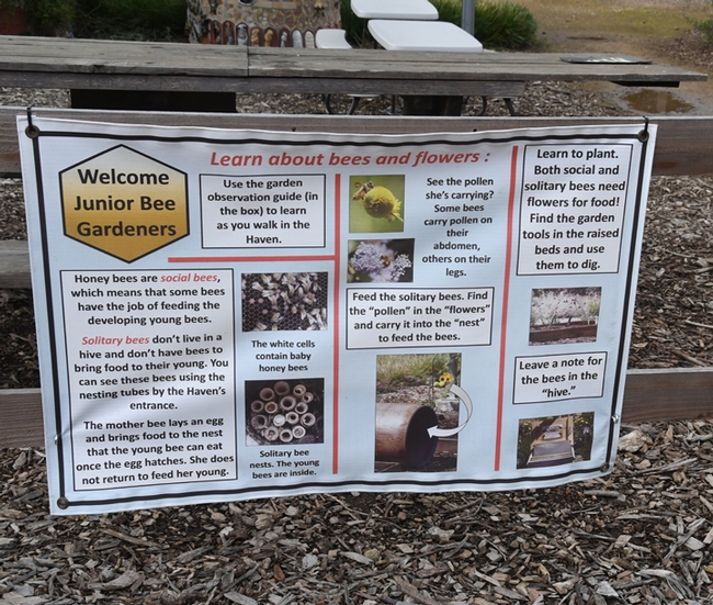 This sign greets Junior Bee Gardeners at the Häagen-Dazs Honey Bee Haven on Bee Biology Road, UC Davis. (Photo by Kathy Keatley Garvey)