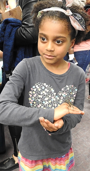 Holding insects is easy! (Photo by Kathy Keatley Garvey)