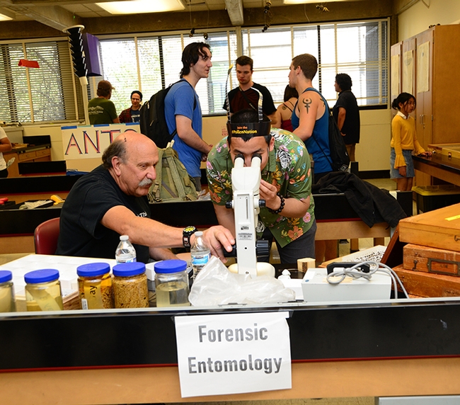 Forensic entomologist Robert Kimsey (left) held forth at the forensic entomology table in Briggs Hall during the 2019 UC Davis Picnic Day. He recently won a College of Agricultural and Environmental Sciences' advising award. (Photo by Kathy Keatley Garvey)