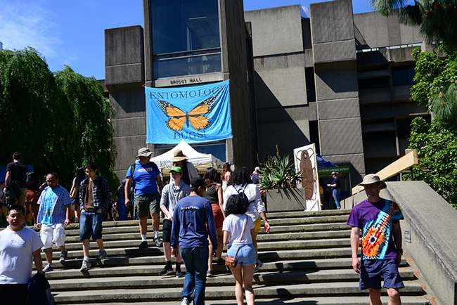 Briggs Hall, home of the UC Davis Department of Entomology and Nematology, was a big draw at the 105th annual UC Davis Picnic Day. (Photo by Kathy Keatley Garvey)
