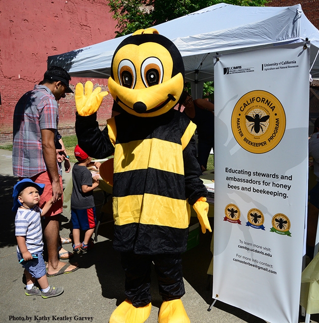 Wendy Mather, program manager of the California Master Beekeeper Program, stands in front of the booth at the California Honey Fstival while a youngster gives her a quizzical look. (Photo by Kathy Keatley Garvey)