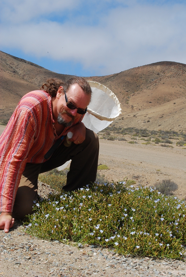 Professor Laurence Packer on location in the Atacama Desert in Chile.