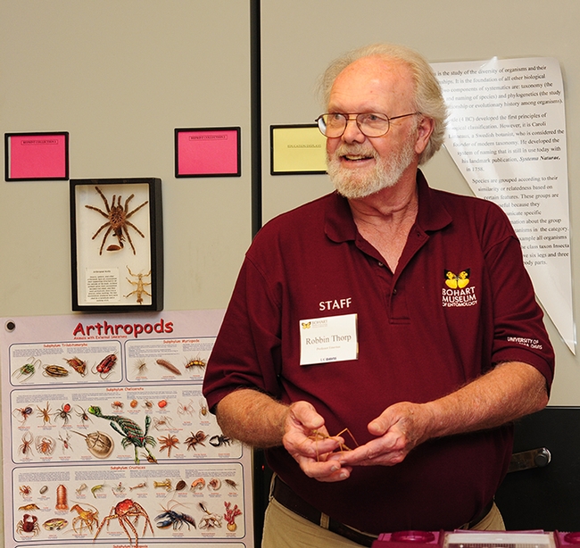 Robbin Thorp was a frequent docent at the Bohart Museum of Entomology where he also did research. This image was taken April 20, 2013. (Photo by Kathy Keatley Garvey)