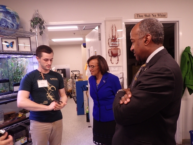 Bohart associate and entomology  student Wade Spencer (left) shows Chancellor Gary May and Dean Helene Dillard a stick insect from the Bohart Museum of Entomology's petting zoo. (Photo by Kathy Keatley Garvey)