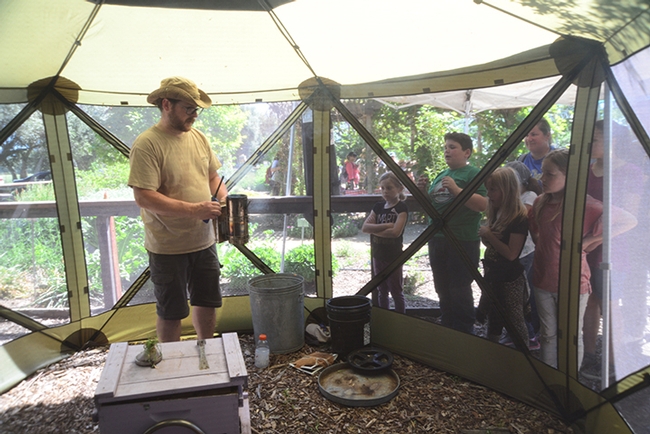 Matthew Hoepfinger, staff research associate in the E. L. Niño lab,  presented the live bee demonstration. (Photo by Kathy Keatley Garvey)