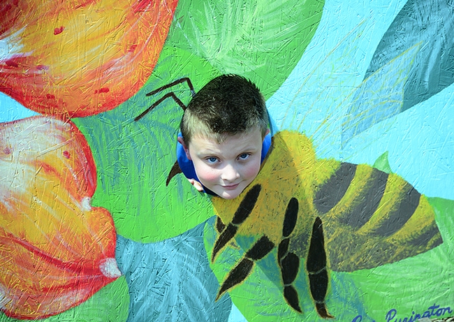 Hey, I'm a bee! (Photo by Kathy Keatley Garvey)