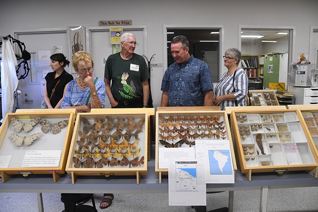 Entomologist Norm Smith (center) answers questions about moths at the Bohart Museum of Entomology's Moth Night. (Photo by Kathy Keatley Garvey)