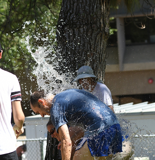 Gregory Zebouni, account manager for the Hammock lab, gets drenched. (Photo by Kathy Keatley Garvey)