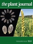 The Plant Journal, Volume 99, Issue 2, July 2019