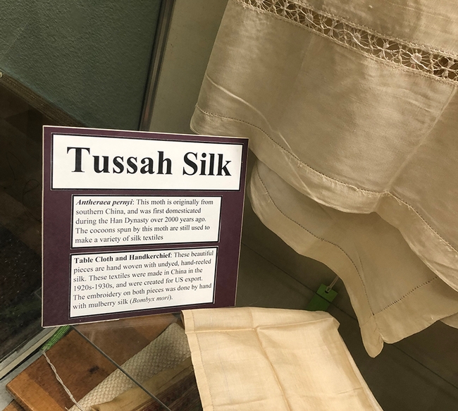Tussah silk is displayed at the Bohart Museum of Entomology. The exhibit features a hand-woven tablecloth and a handkerchief. (Photo by Kathy Keatley Garvey)