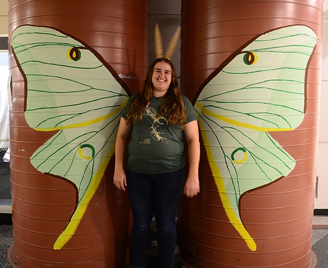 Bohart associate Emma Cluff displays the giant luna moth that she and Kelly Davies created. (Photo by Kathy Keatley Garvey)