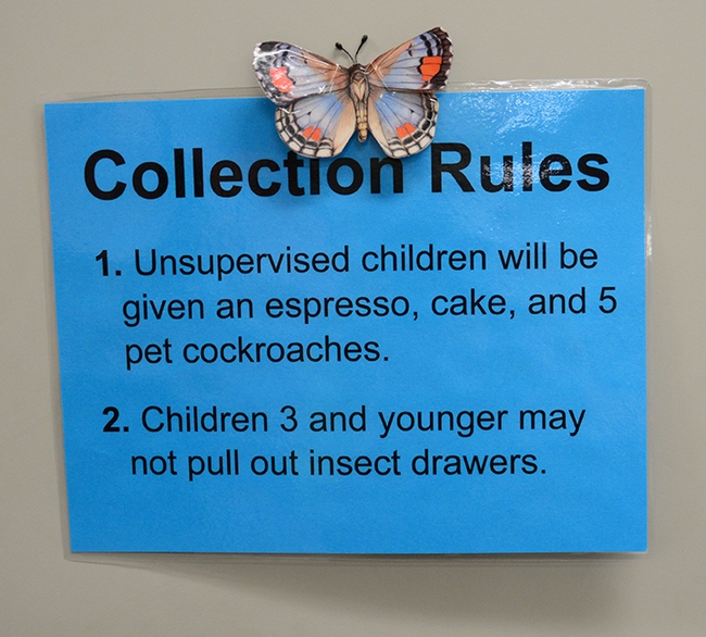 A humorous sign in the Bohart Museum of Entomology. (Photo by Kathy Keatley Garvey)