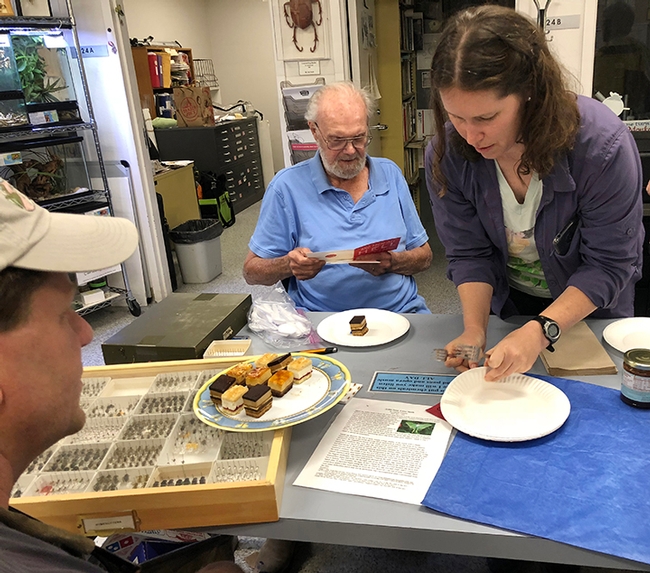 Honoree Robbin Thorp reads a birthday card at a celebration in 2018 at the Bohart Museum of Entomology. At right is Tabatha Yang, Bohart Museum education and outreach coordinator. (Photo by Kathy Keatley Garvey)