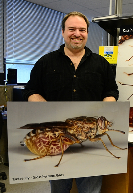 Geoffrey Attardo shows an image (enlarged) that he took of a tsetse fly. He displayed this image and others at 2019 UC Davis Picnic Day. (Photo by Kathy Keatley Garvey)