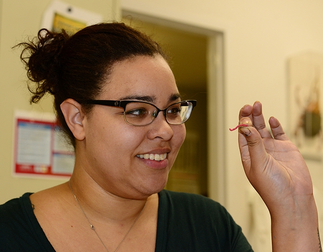 Biologist Iris Bright checks out a red earthworm, one of the items available for sampling at the Bohart Museum of Entomology's open house on Sept. 21. (Photo by Kathy Keatley Garvey)