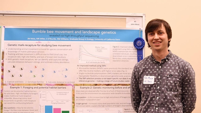 UC Davis doctoral candidate John Mola stands by his first-place poster at the 2018 UC Davis Bee Symposium. (Photo by Kathy Keatley Garvey)