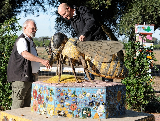 Robbin Thorp (left), legendary authority on bees, shows UC Davis alumnus Alex Wild the 