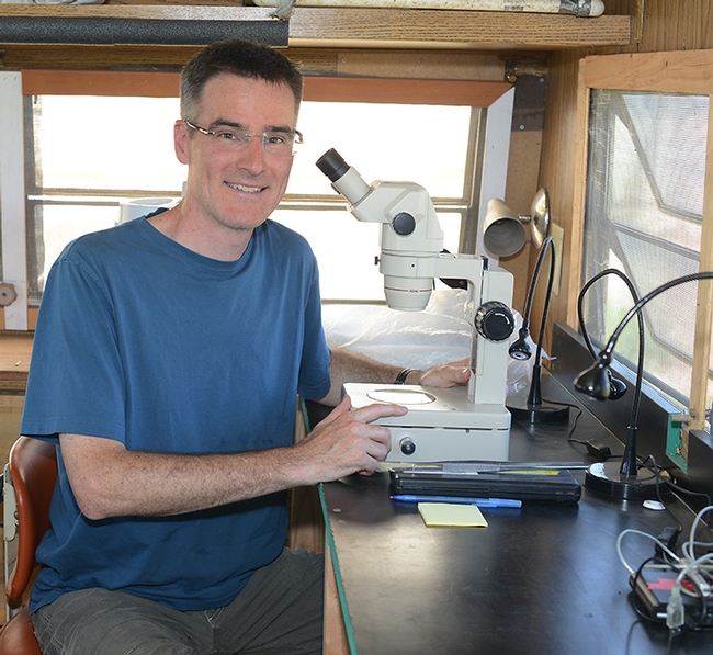 UC Davis pollination ecologist Neal Williams is a newly inducted Fellow of the California Academy of Sciences. (Photo by Kathy Keatley Garvey)