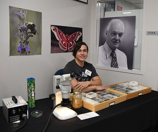 Forensic entomologist and doctoral student Alexander Dedmon awaits visitors. Behind him is a portrait of Professor Richard Bohart (1913-2007), founder of the Bohart Museum of Entomology. (Photo by Kathy Keatley Garvey)