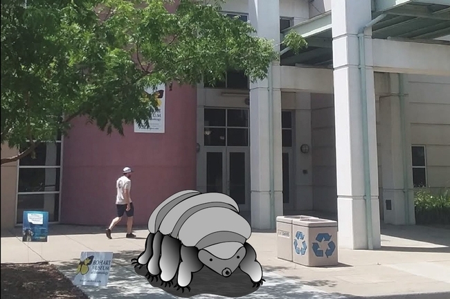 An artist's rendering of the proposed water bear (tardigrade) sculpture in front of the Bohart Museum of Entomology.
