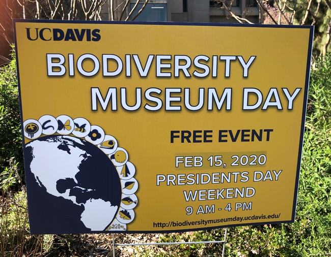 A sign of the times--the ninth annual UC Davis Biodiversity Museum Day is Saturday, Feb. 15. (Photo by Kathy Keatley Garvey)