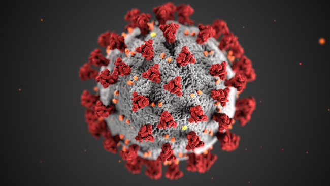 The COVID-19 virus. (Image courtesy of the Centers for Disease Control and Prevention)