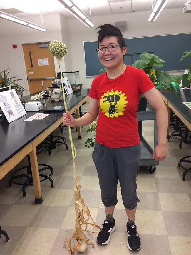 Ivana Li poses in her lab with a garlic plant. (Photo by Rachel Fazzi)