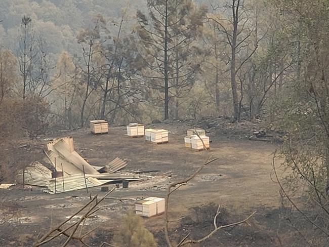Smoke covers the landscape and the hives of Pope Canyon Queens on Quail Canyon Road. (Photo courtesy of Caroline Yelle)
