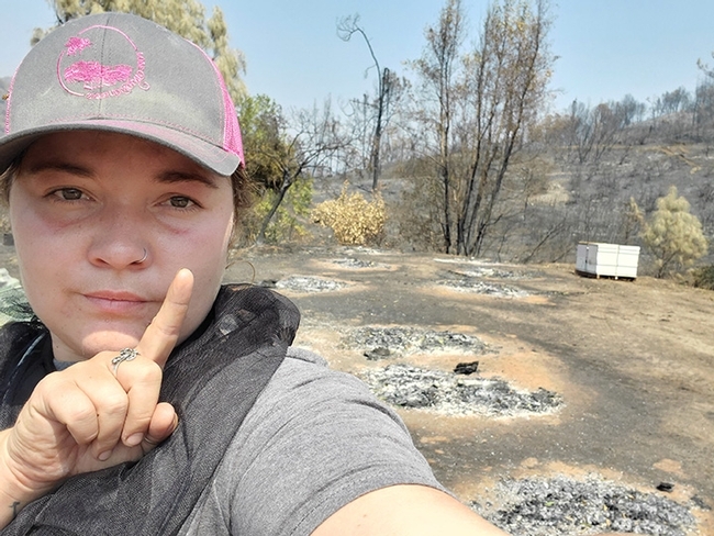 Caroline Yelle, owner of Pope Canyon Queens, lost 500 hives. Ashes are in the background. (Photo courtesy of Caroline Yelle)