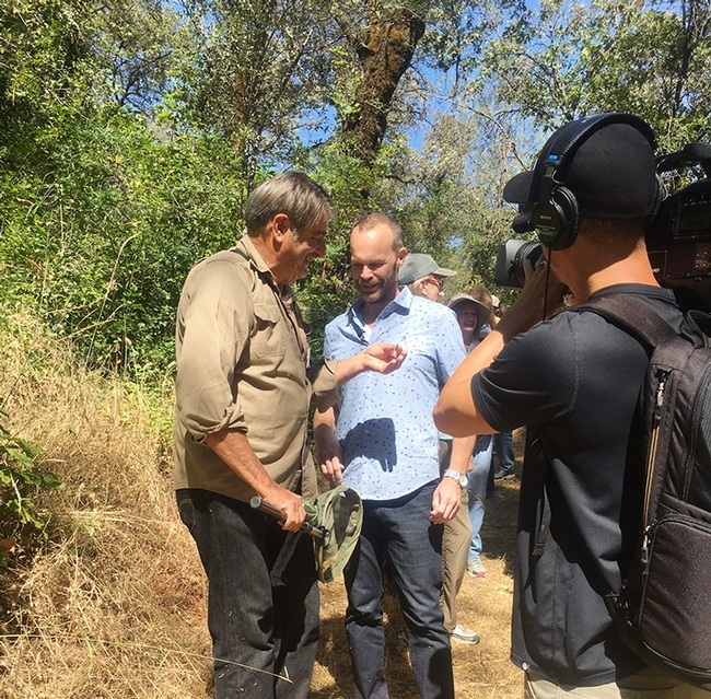 Greg Kareofelas (far left), a Bohart Museum of Entomology associate and a docent for Placer Land Trust's tours of the California dogface butterfly habitat, shows a butterfly to  Rob Steward of the 