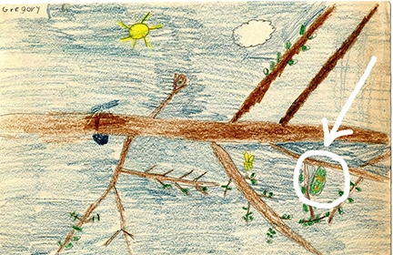 This is a drawing that Greg Kareofelas, as a second grader, created for a monarch booklet.
