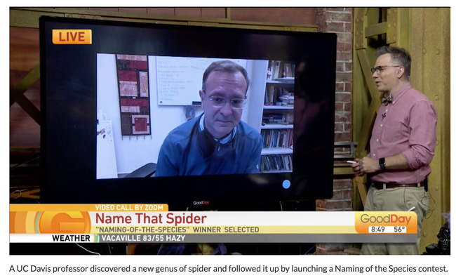 A screen shot of the TV program, Good Day Sacramento, featuring Jason Bond, the trapdoor spider he discovered, and the name-that-species contest.  See https://gooddaysacramento.cbslocal.com/video/4770491-name-that-spider/