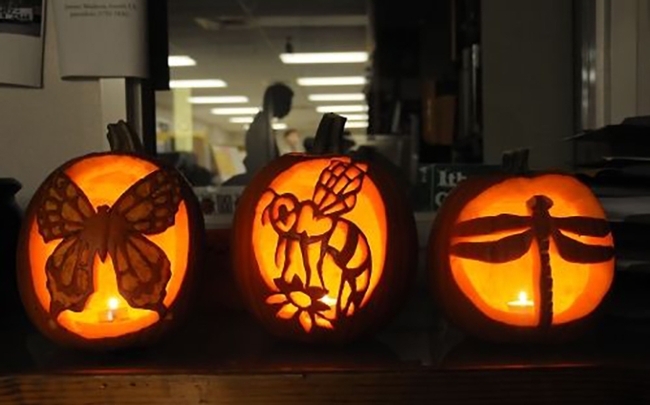 These three jack o'lanterns represent a butterfly, bee and dragonfly. They were among Halloween decorations at the Bohart Museum of Entomology's annual Halloween parties. (Photo by Kathy Keatley Garvey)