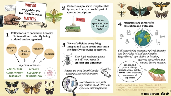 This is the infographic that won Jill Oberski a first-place award in the Entomological Society of America's graduate student competition.