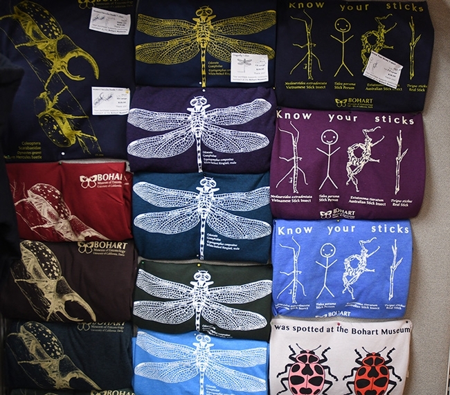 Dragonflies may or may not bring good luck, but dragonfly t-shirts are a popular item in the Bohart Museum of Entomology gift shop.