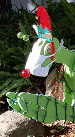 All masked up and ready to go. The Kimsey family's praying mantis replaces Rudolph the Red-Nosed Reindeer. (Photo by Lynn Kimsey)