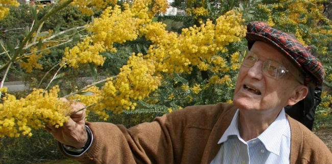 Eric Conn, a noted plant biochemist, nurtured the UC Davis Arborteum’s acacias for scientific as well as aesthetic reasons. He died in 2017 at age  94. (UC Davis Photo)