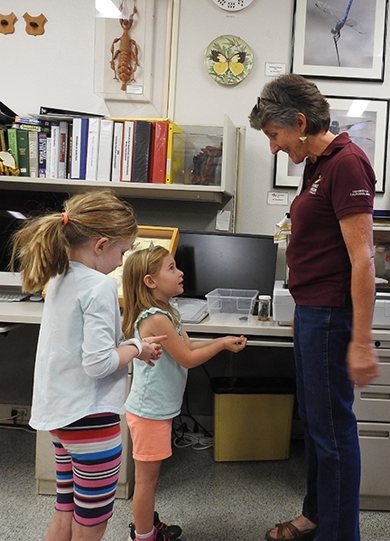 Lynn Kimsey, director of the Bohart Museum, talks to two young visitors. (Photo by Kathy Keatley Garvey)