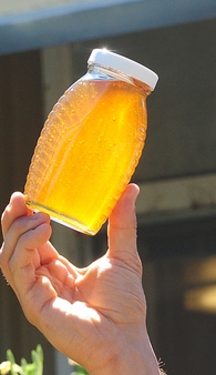 A jar of honey from the Harry H. Laidlaw Jr. Honey Bee Research Facility (Photo by Kathy Keatley Garvey)