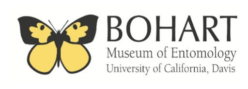 Bohart logo