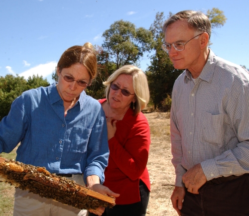 Concerned about bee health are (from left) UC Davis bee breeder-geneticist Susan Cobey; Yuba City beekeeper Valerie Severson of Yuba City; and UC Davis apiculturist Eric Mussen. (Photo by Kathy Keatley Garvey)