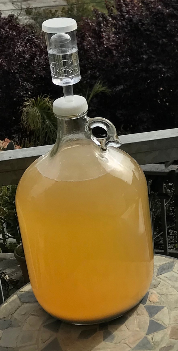 Mead is the world's oldest fermented beverage. (Photo courtesy of Mark Carlson)