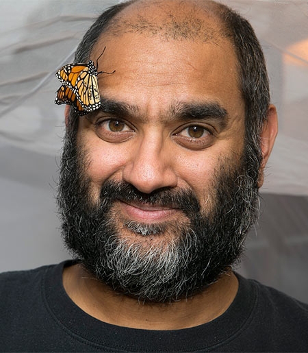 Anurag Agrawal is the author of a celebrated book on monarchs and milkweed.