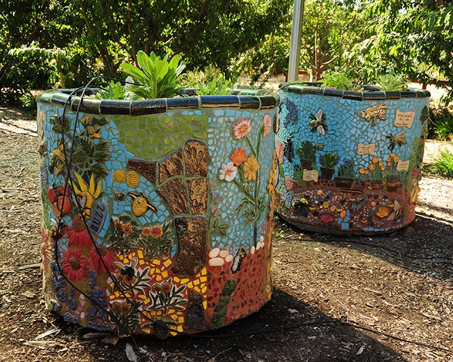 These planters grace the UC Davis Department of Entomology and Nematology's bee garden, the Häagen-Dazs Honey Bee Haven, on Bee Biology Road. (Photo by Kathy Keatley Garvey)