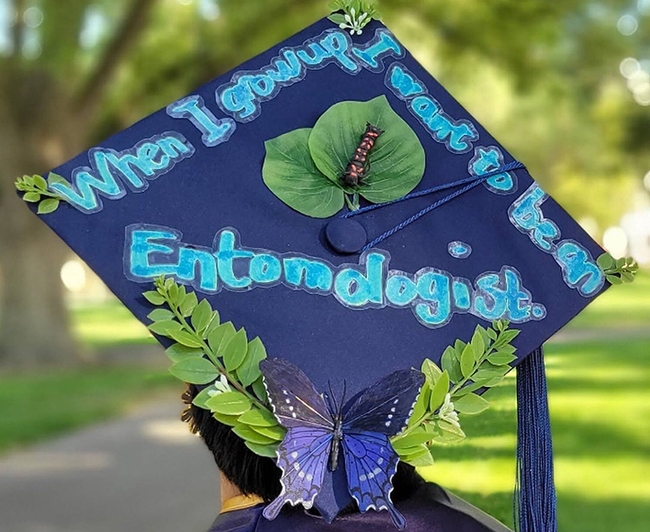 This insect-themed graduation cap is in the running for UC Davis prizes. RJ Millena's first project involved the California pipevine swallowtail (Battus philenor). See caterpillar.(Photo by Kaylee Fagan)