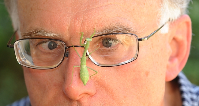 Extension apiculturist Eric Mussen of the UC Davis Department of Entomology peers at a praying mantis. (Photo by Kathy Keatley Garvey)